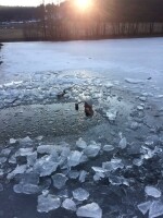 25. úterní otužování s Trip Teamem, z.s. - Černý rybník (foto 22)