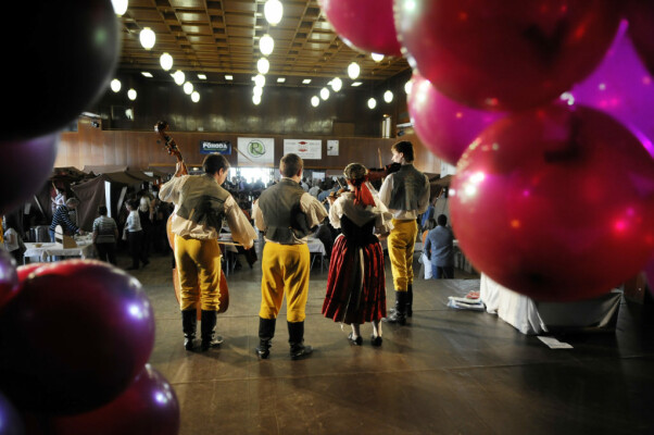 Festival vína (foto 1)