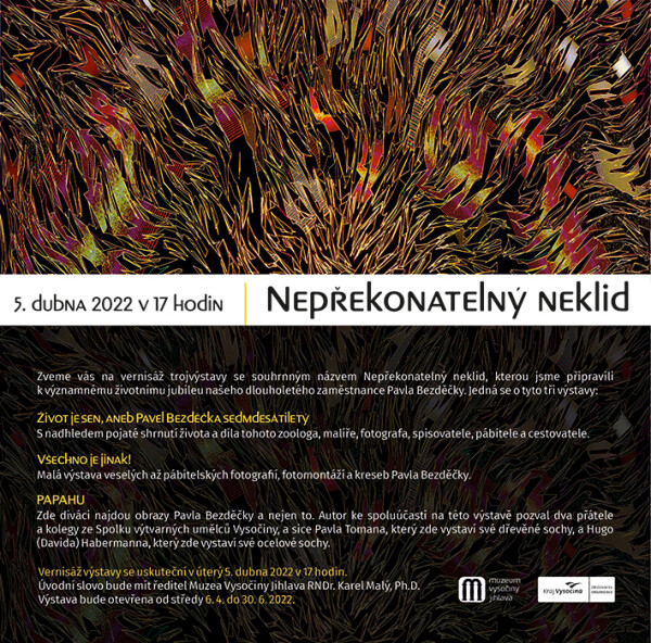 Výstava: Nepřekonatelný neklid (foto 1)