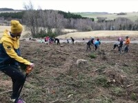 Sázení stromků v lese u Ski (za minigolfem) (foto 2)