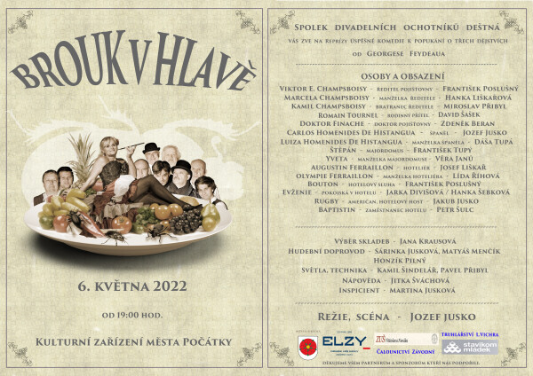 BROUK V HLAVĚ (foto 1)