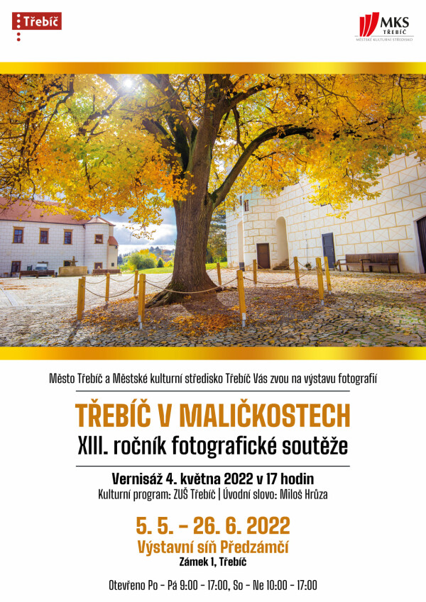 Třebíč v maličkostech - výstava (foto 1)