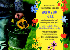 Adoptuj si truhlík (foto 1)