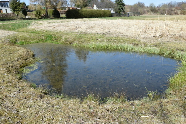 Slavnost vody s Efemer (foto 1)