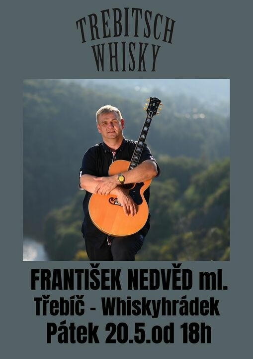 František Nedvěd - hudební vystoupení (foto 1)