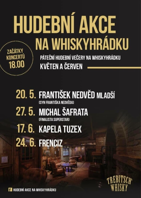 Michal Šafrata - hudební vystoupení (foto 1)