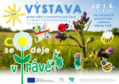 Co se děje v trávě (foto 1)