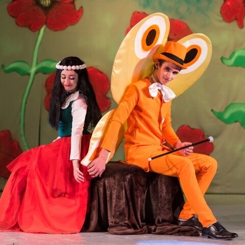 MAKOVÁ PANENKA A MOTÝL EMANUEL (foto 1)