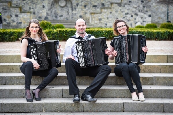 CHECK ACCORDION TRIO (foto 1)