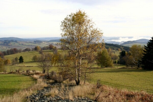Vernisáž výstavy Vcházení do obrazů Josefa Jambora (foto 1)
