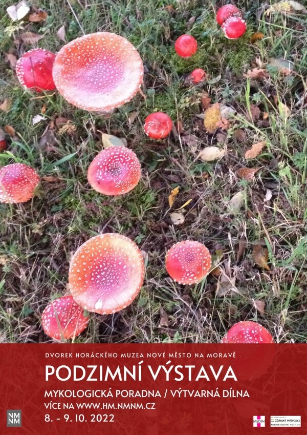 Podzimní výstava (foto 1)