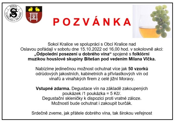 Odpolední posezení u dobrého vína (foto 1)