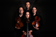 Fire & light show (foto 2)