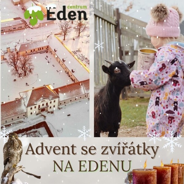 Advent se zvířátky na Edenu (foto 1)