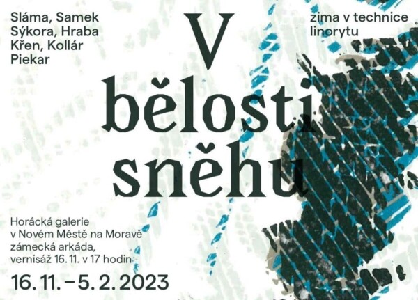 V bělosti sněhu (foto 1)