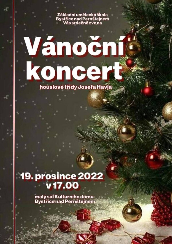 Vánoční koncert houslové třídy Josefa Havla (foto 1)