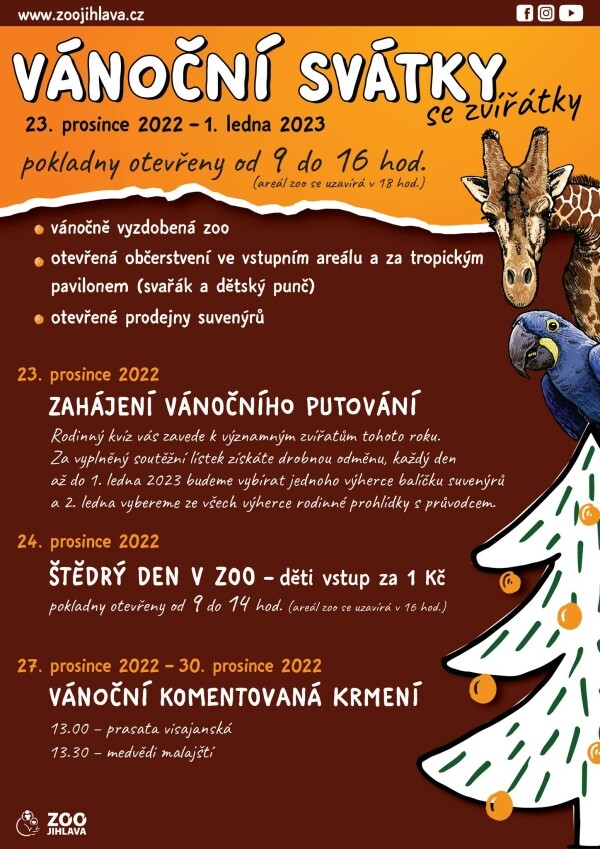 Vánoční svátky se zvířátky (foto 1)