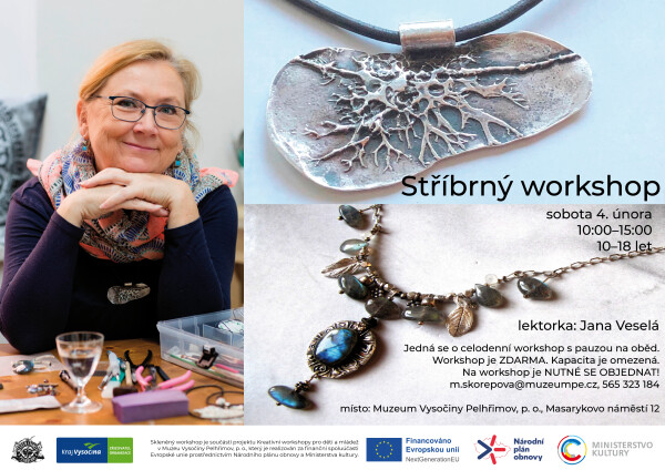 Stříbrný workshop (foto 1)