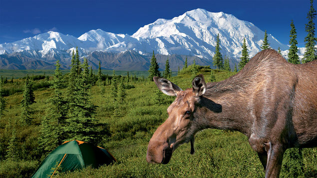 Martin Loew - Aljaška (foto 1)