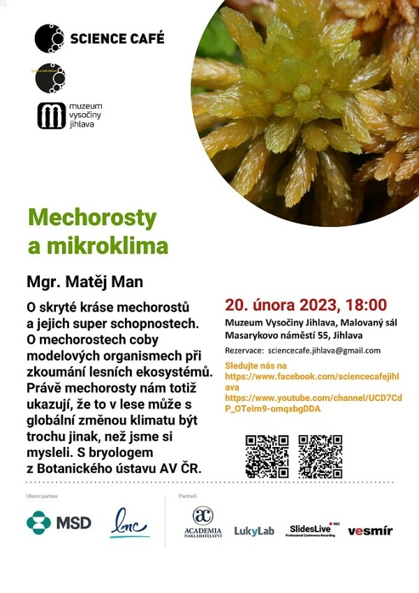 Mechorosty a mikroklima (foto 1)