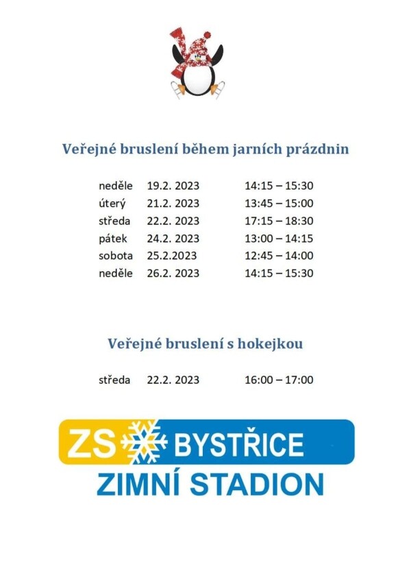 Veřejné bruslení (foto 1)