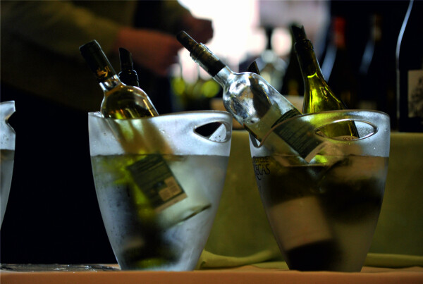 13. FESTIVAL VÍNA JIHLAVA (foto 1)