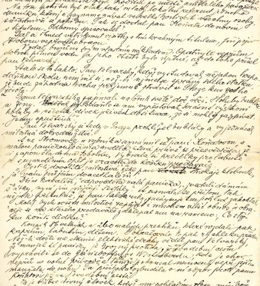 Jednodenní výstava rukopisu Švejka (foto 1)