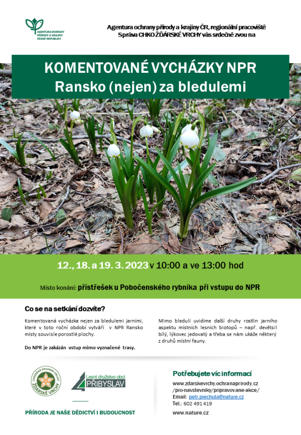 Komentované vycházky do NPR Ransko (nejen) za bledulemi (foto 1)