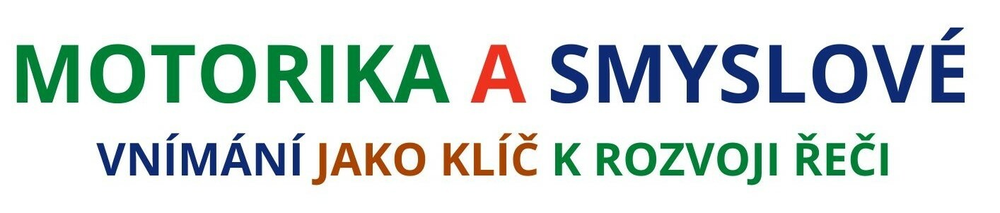 Přednáška - Motorika a smyslové vnímání jako klíč k rozvoji řeči (foto 1)