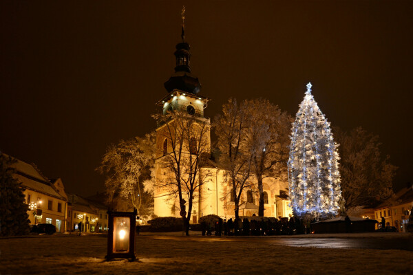 Betlémské světlo pod stromem (foto 1)
