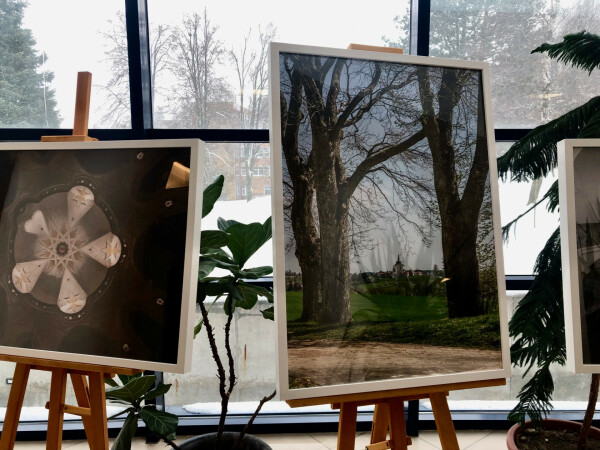 Zelená hora na fotografiích Milana Šustra (foto 1)