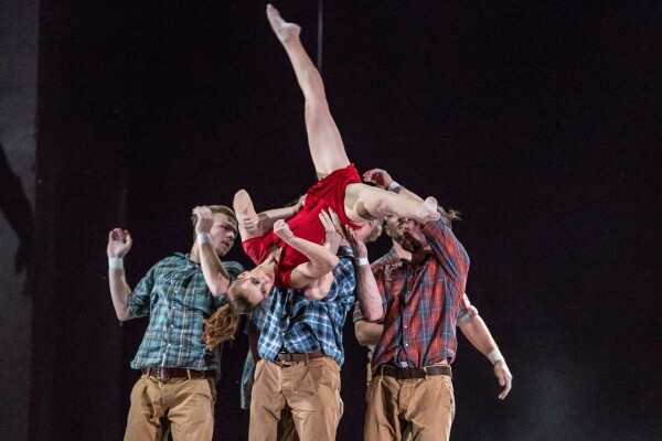 THE LOSER(S) (foto 1)