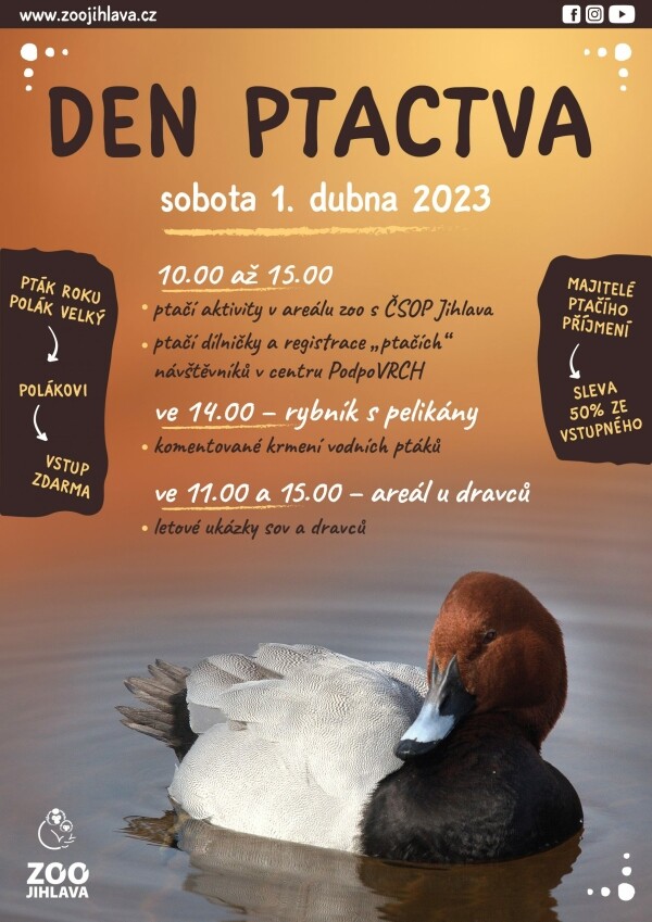 Den ptactva (foto 1)