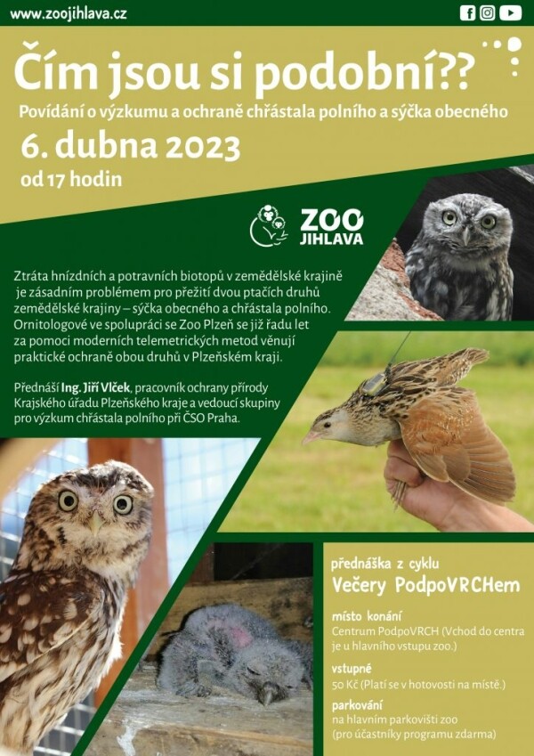 Čím jsou si podobní? (foto 1)
