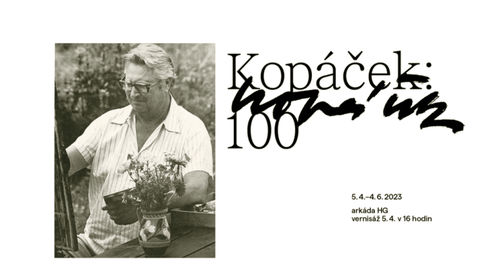 Vernisáž výstavy Pavel Kopáček (foto 1)