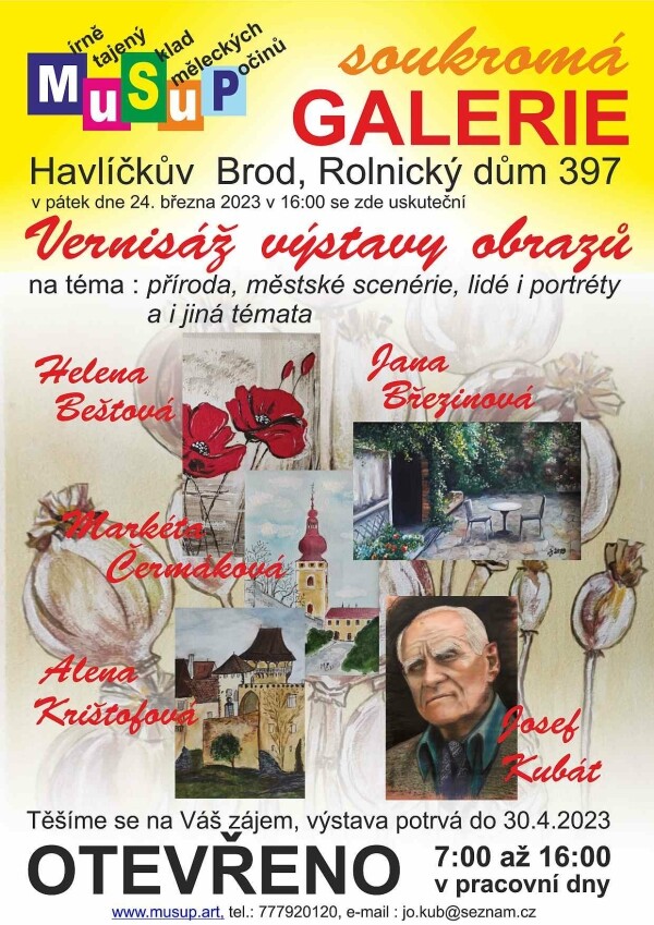 Výstava obrazů – neprofesionálních malířů (foto 1)