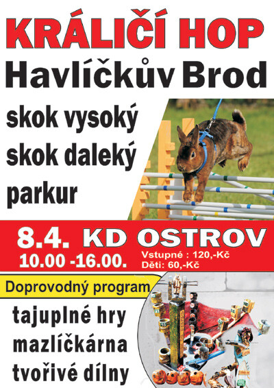 KRÁLIČÍ HOP (foto 1)