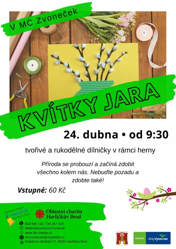 Kvítky jara (foto 1)