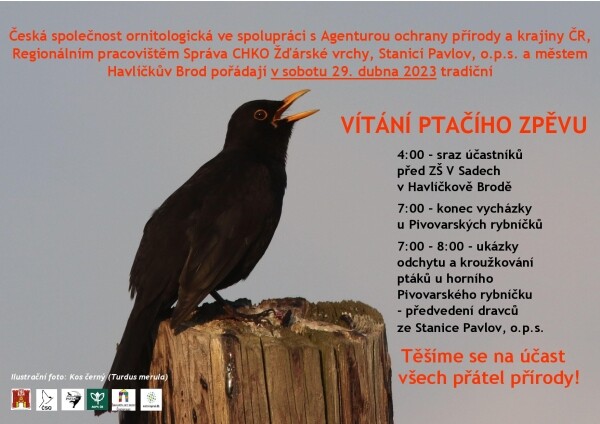 Vítání ptačího zpěvu 2023 (foto 1)