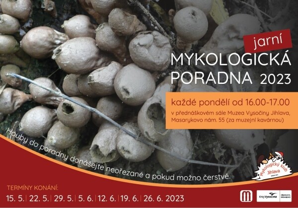 Jarní mykologická poradna (foto 1)
