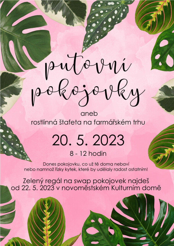 Putovní pokojovky aneb rostlinná štafeta na farmářském trhu (foto 1)