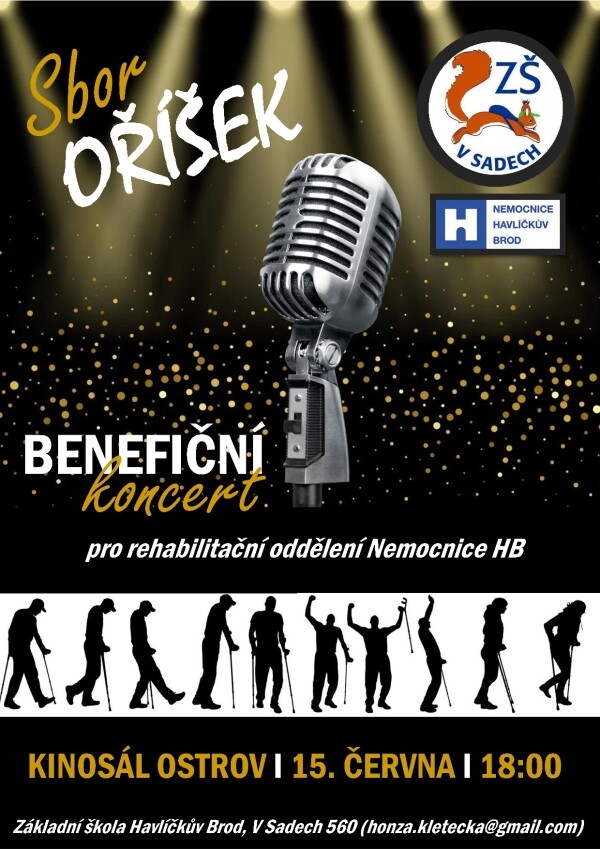 BENEFIČNÍ KONCERT PRO REHABILITAČNÍ ODDĚLENÍ NEMOCNICE HAVLÍČKŮV BROD (foto 1)