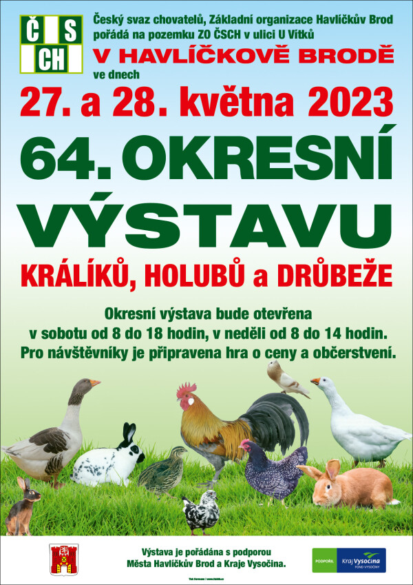 64. okresní výstava králíků, holubů a drůbeže (foto 1)