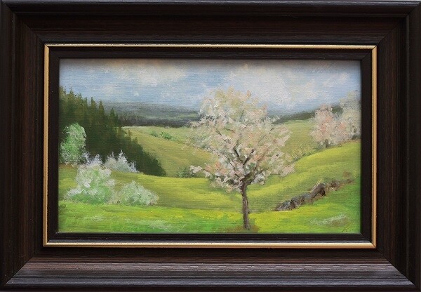 Výstava - NÁLADY VYSOČINY  Petr Fafílek (foto 1)