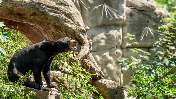 Večerní prohlídka se zoologem (foto 1)