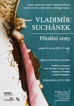 výstava Vladimír Suchánek - Hledání cesty (foto 2)