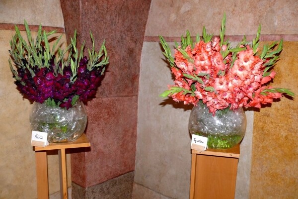 Zahrada Vysočiny - Mezinárodní výstava - Mečíky (foto 1)