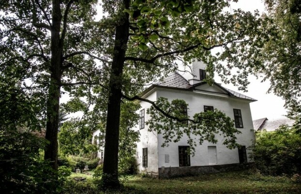 Blue style Prima Fest 2024 (foto 1)