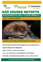 Náš soused netopýr (foto 2)