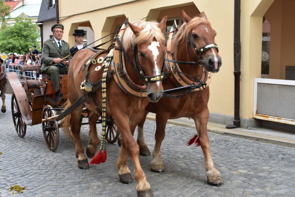 Zlatá podkova - finále seriálu závodů (foto 1)